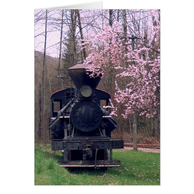 EL SPECIAL de la FLOR DE CEREZO de SHARON SHARPE (Frente)