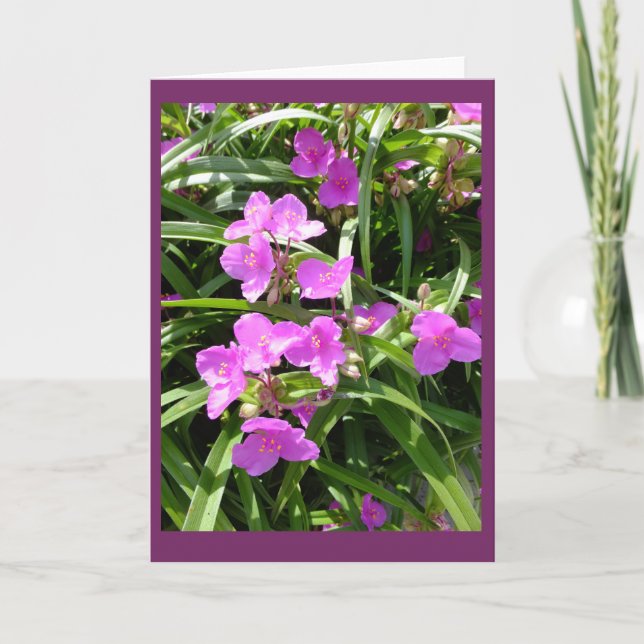 El Spiderwort florece la tarjeta de nota en blanco (Anverso)