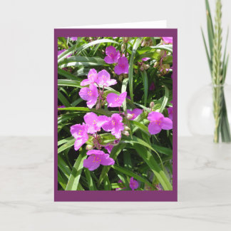 El Spiderwort florece la tarjeta de nota en blanco