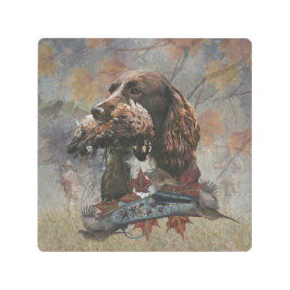 El Sprocker Spaniel, el arte del perro de las arma