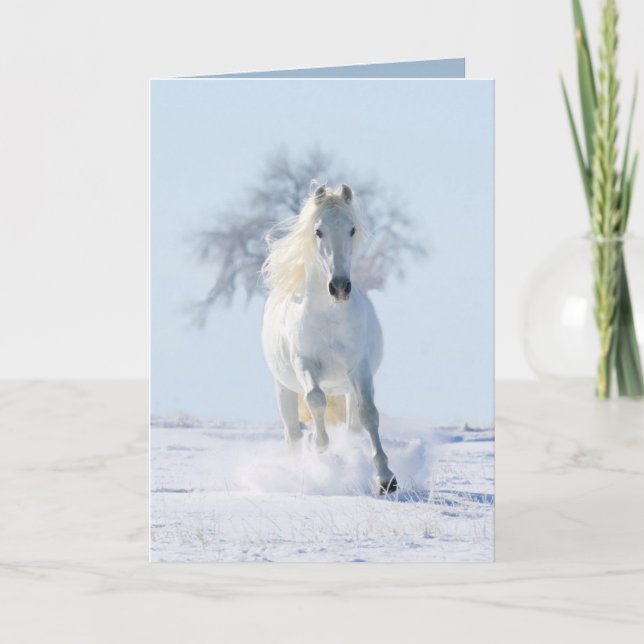 El Stallion de la Nieve y la tarjeta de felicitaci (Anverso)