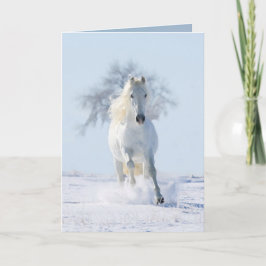 El Stallion de la Nieve y la tarjeta de felicitaci