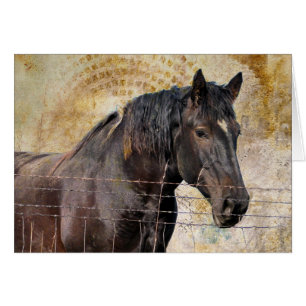 El suave, un caballo de tiro