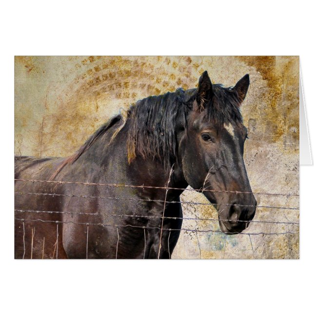 El suave, un caballo de tiro (Anverso (Horizontal))