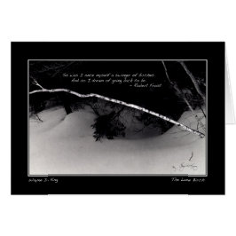 El sueño de Frost's Birch