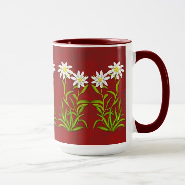 El suizo Edelweiss florece la taza (Derecha)