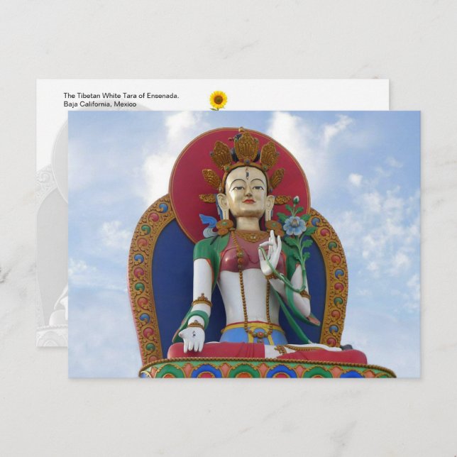 El Tara Blanco tibetano de Ensenada - postal (Anverso / Reverso)