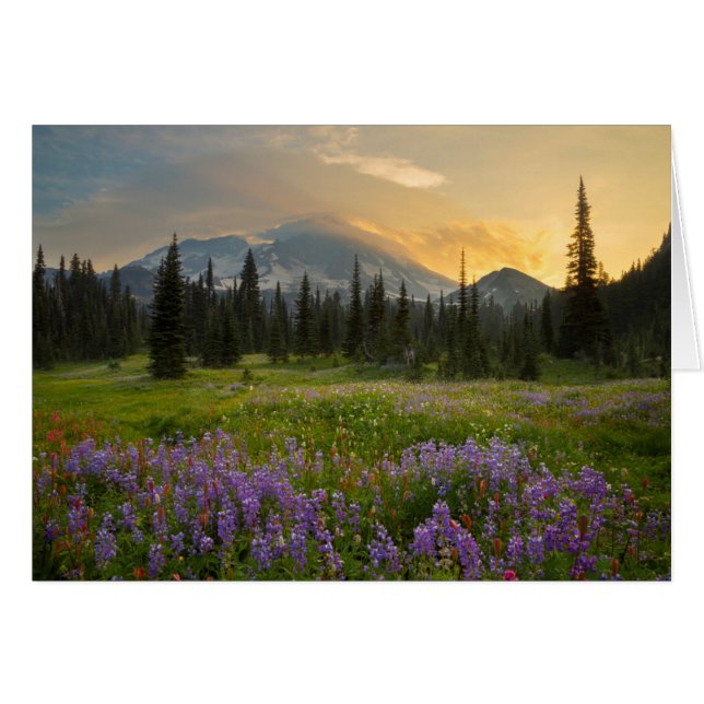 El terreno de caza del Enrique Indio al amanecer (Anverso (Horizontal))