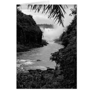 El tesoro en la jungla