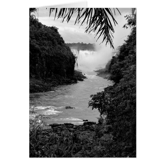 El tesoro en la jungla (Frente)