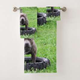 El Tiempo De Jugar De Staffordshire Bull Terrier,