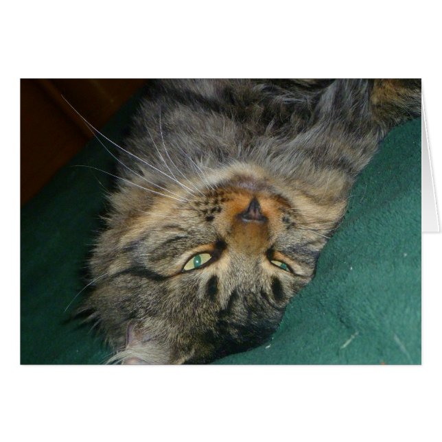 El Tig (Anverso (Horizontal))