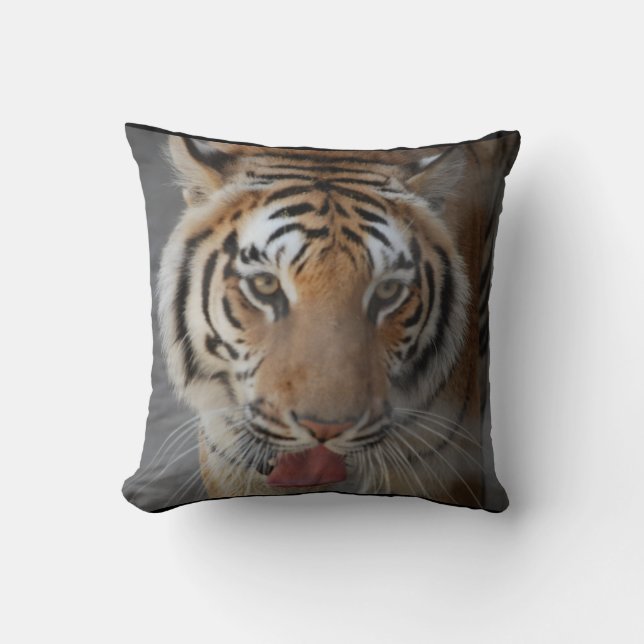 El tigre besa la almohada (Anverso)