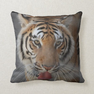 El tigre besa la almohada