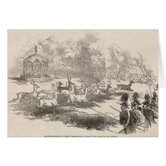 El tiroteo de los ciervos en Gotha (Anverso (Horizontal))