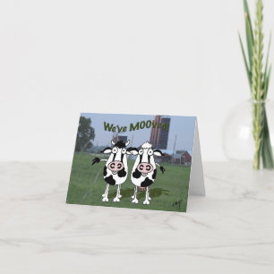 el toro de vaca movió una nueva invitación de dire