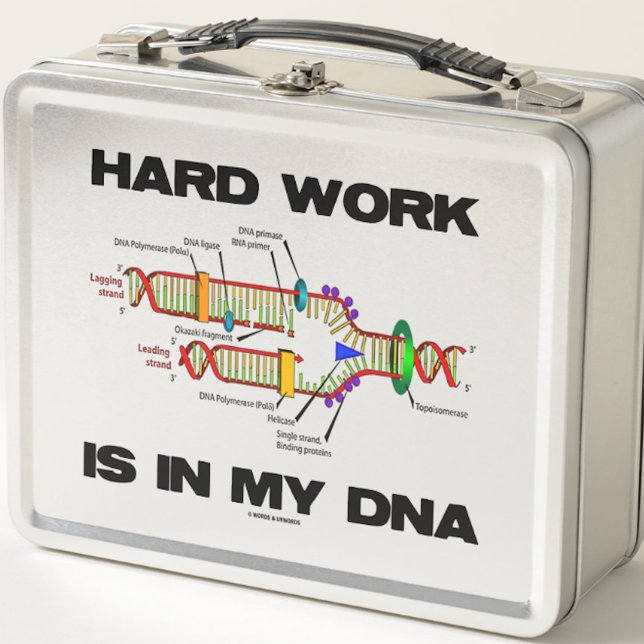 El Trabajo Duro Está En Mi Humor De Biología Molec (DNA replication lunchbox for any hard worker who has hard work in his or her DNA)