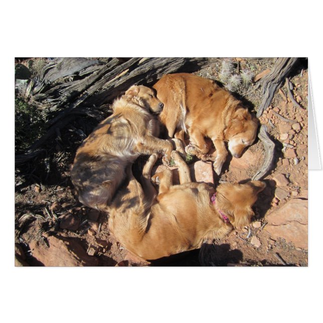 El triángulo de oro (Anverso (Horizontal))