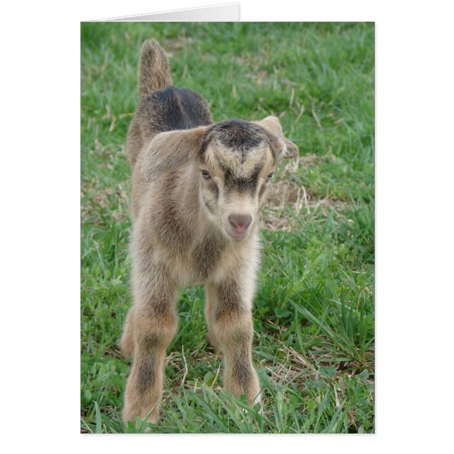 El trueno de un día de todas las ocasiones (Frente)