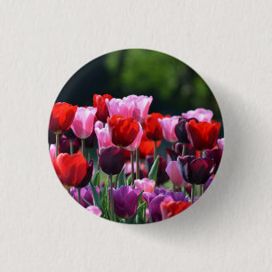 El tulipán florece la insignia/el botón