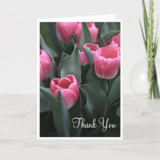 El tulipán rosado le agradece las tarjetas