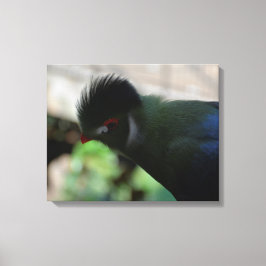 EL TURACO DE GUINEA IMPRESO EN LIENZO
