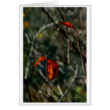 El último baile del otoño