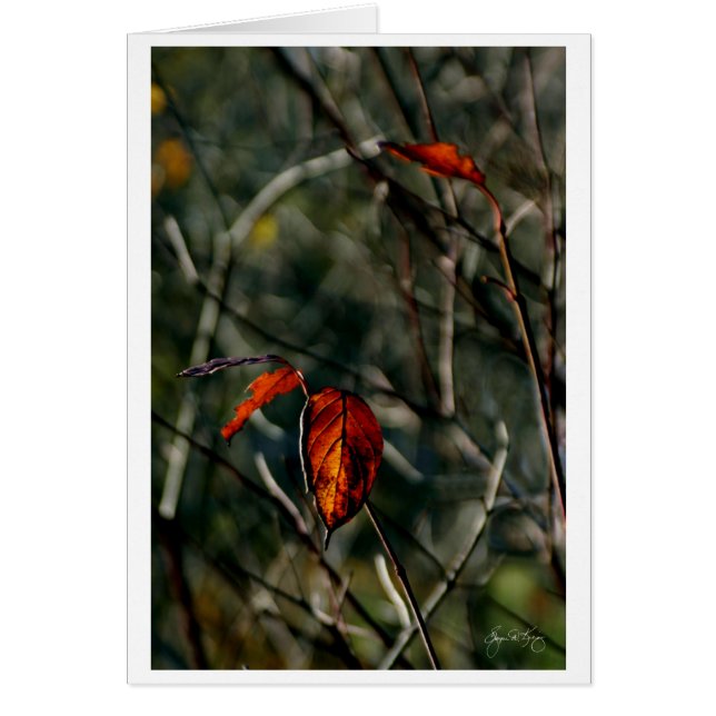 El último baile del otoño (Frente)