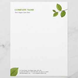 El verde deja el papel con membrete