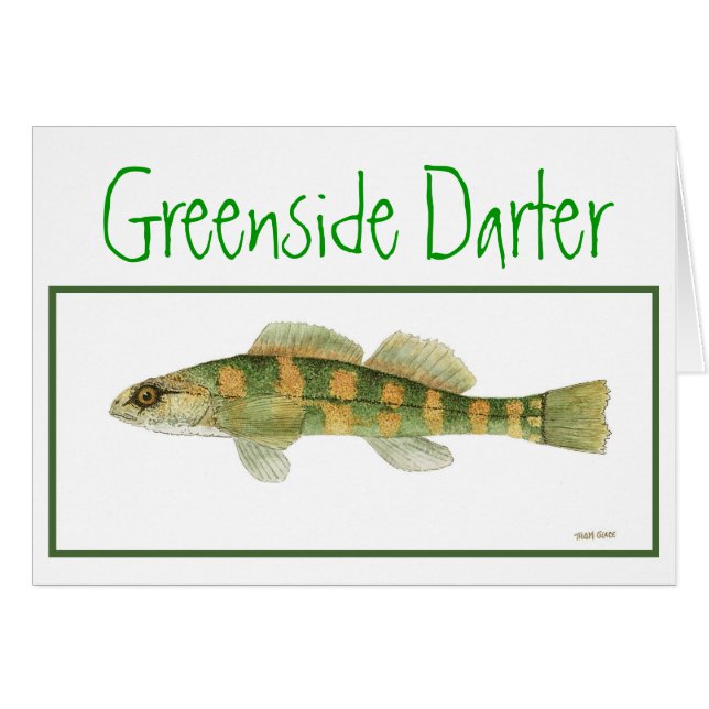 El verde echó a un lado tarjeta del Darter (Anverso (Horizontal))