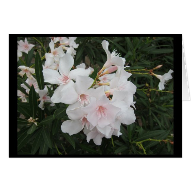 El viajar en Italia septentrional (Anverso (Horizontal))