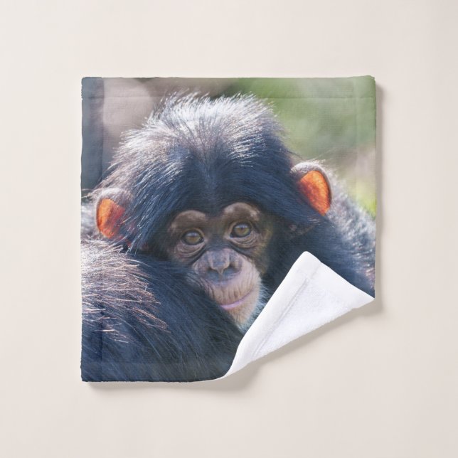 El viaje del bebé Chimpanzee (Toallita)