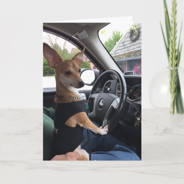 El viaje del perro de la vida - tarjeta de (Anverso)