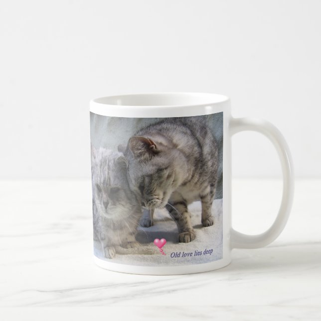 el viejo amor miente profundamente… taza del gato (Derecha)
