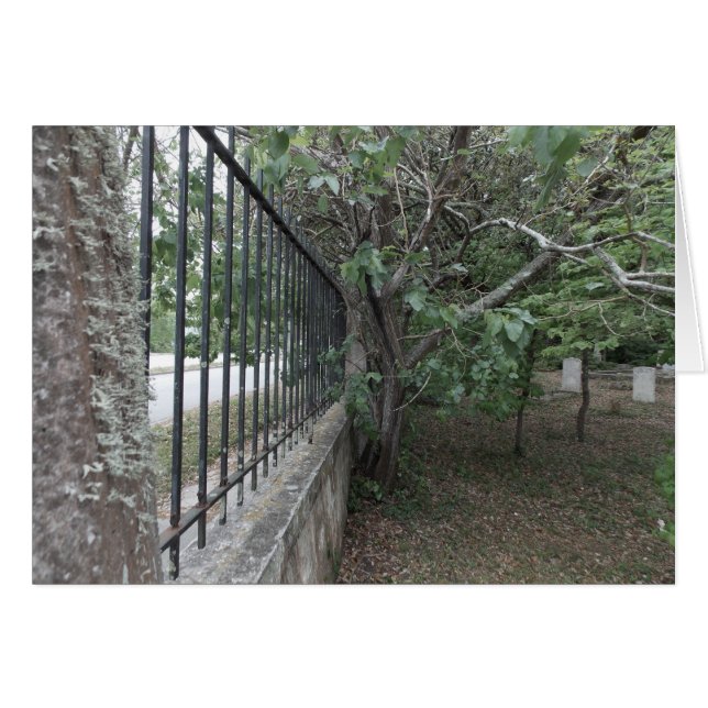 El viejo terreno de la combustión (Anverso (Horizontal))