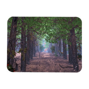 El viento en el imán flexible de los pollos