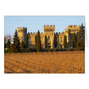 El viñedo con las vides del syrah y el castillo