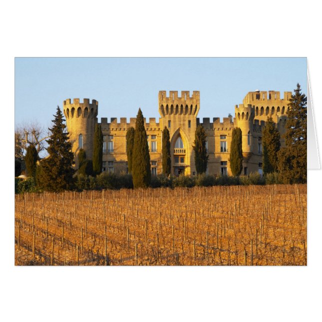 El viñedo con las viñas de syrah y el castillo (Anverso (Horizontal))