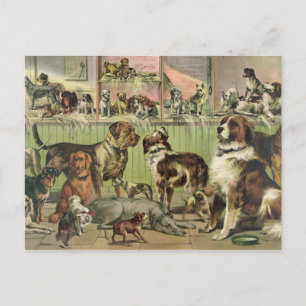 El vintage persigue la postal