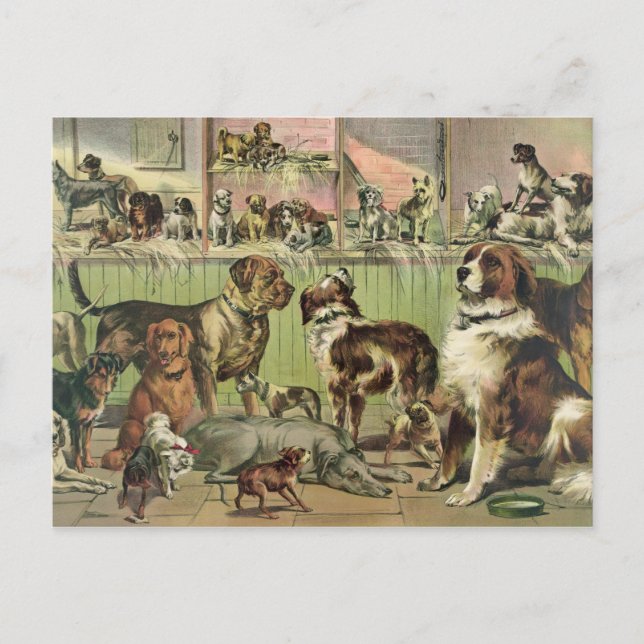 El vintage persigue la postal (Anverso)