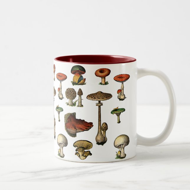 El vintage prolifera rápidamente taza (Derecha)