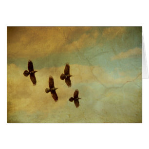 El volar de cuatro cuervos