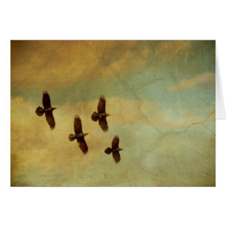 El volar de cuatro cuervos