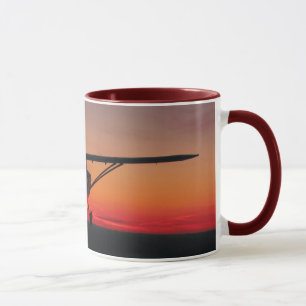 El volar en la taza de la puesta del sol