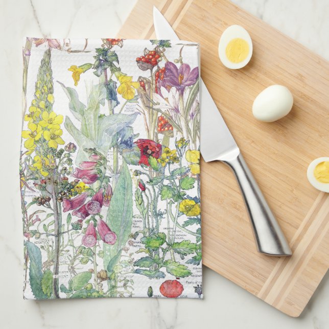 El Wildflower botánico florece la toalla de cocina (Doblado Cuarto)