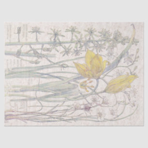 El Wildflower salvaje del tulipán florece el papel