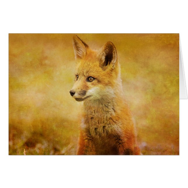 El zorro en la madera (Anverso (Horizontal))