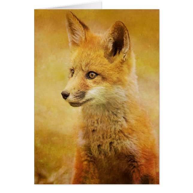 El zorro en la madera (Frente)