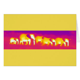 elefante
