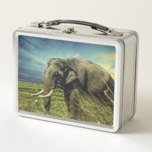 Elefante